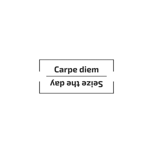 Two motivational phrases 'Carpe diem' and 'Seize the day' on a white background. Enlarged design for a minimalist T-shirt