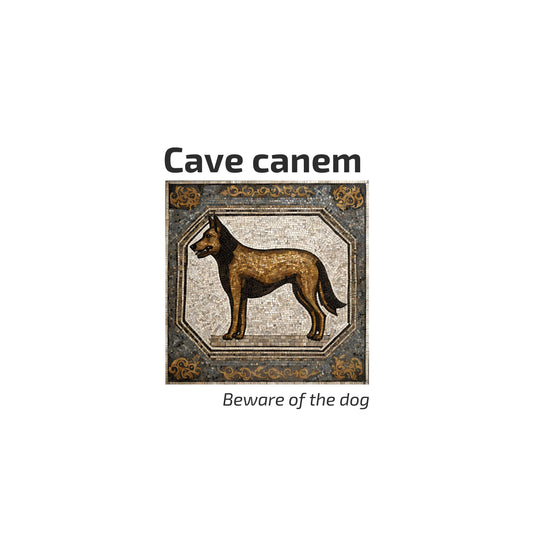 Enlarged design of a tile with a dog illustration and 'Cave canem' (Beware of the dog) text on a white background