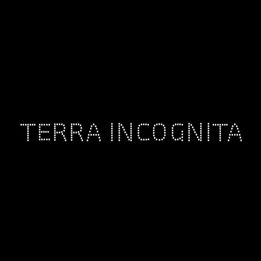 Enlarged design of unisex minimalist t-shirt with the Latin phrase “Terra Incognita”