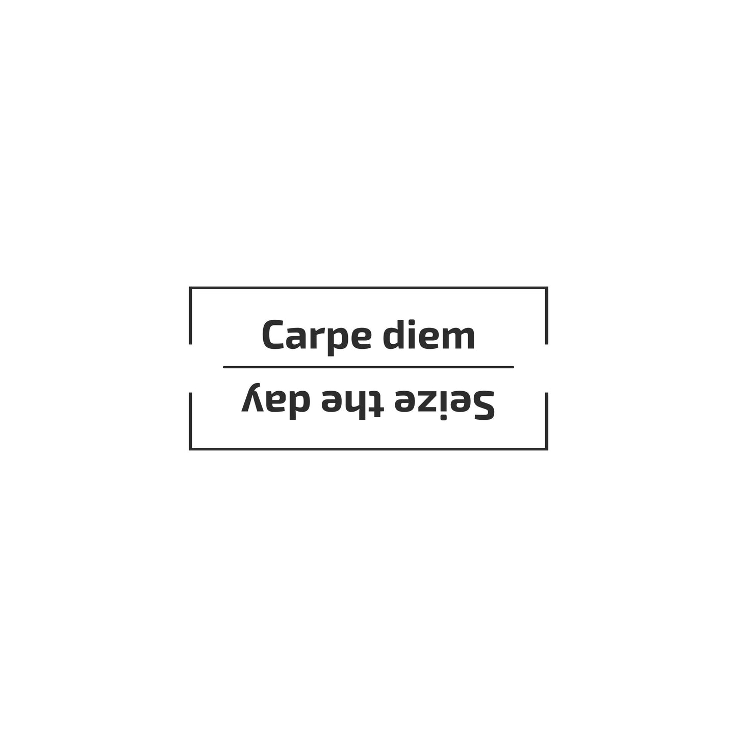 Two motivational phrases 'Carpe diem' and 'Seize the day' on a white background. Enlarged design for a minimalist T-shirt