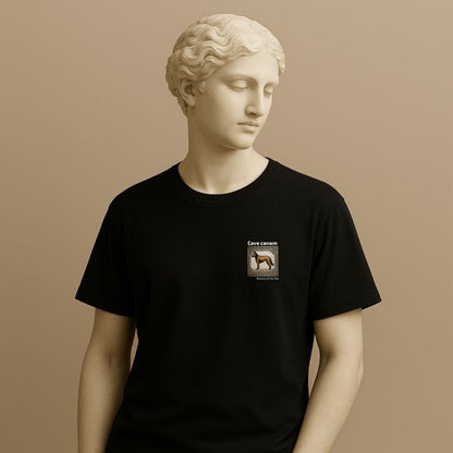 Statue wearing a black t-shirt with a small graphic of a tile with a dog illustration and 'Cave canem' (Beware of the dog) text on a beige background