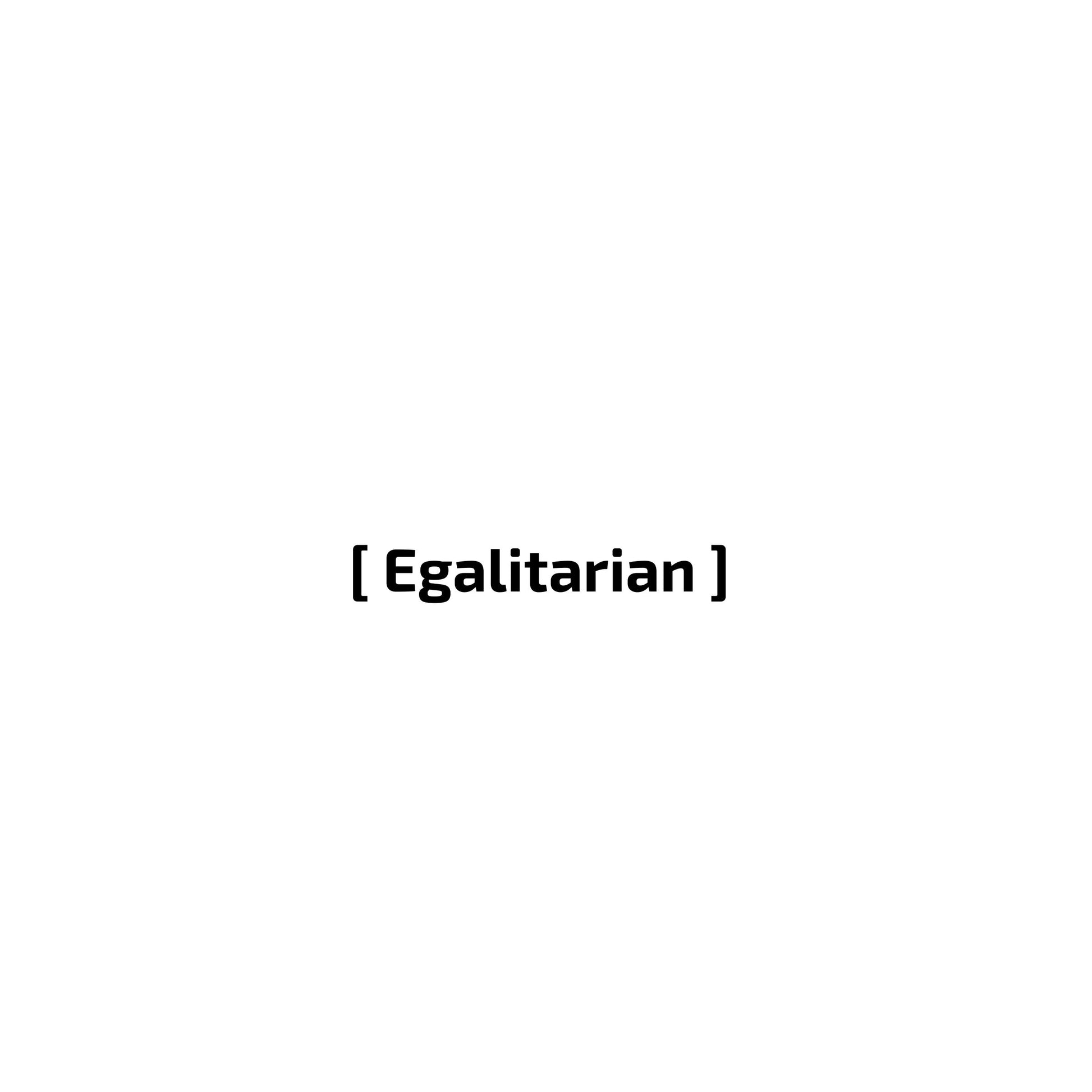 A word 'Egalitarian' in black brackets on a white background. Enlarged design for a minimalist T-shirt