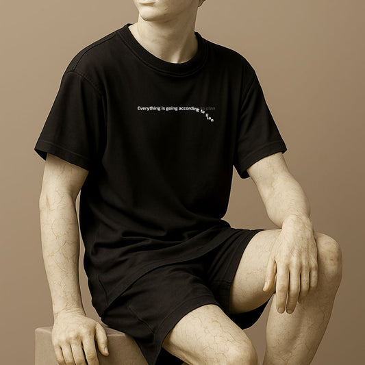 Unisex t-shirt with “Everything is going according to plan” text slipping downward, tee on the statue. Minimalist, ironic design on soft black cotton. 