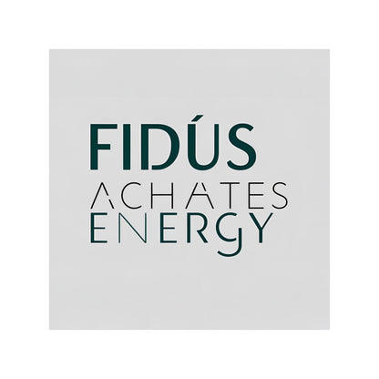 Enlarged design for T-shirt with the Latin phrase Fidus Achates Energy, symbolizing loyalty and a faithful companion