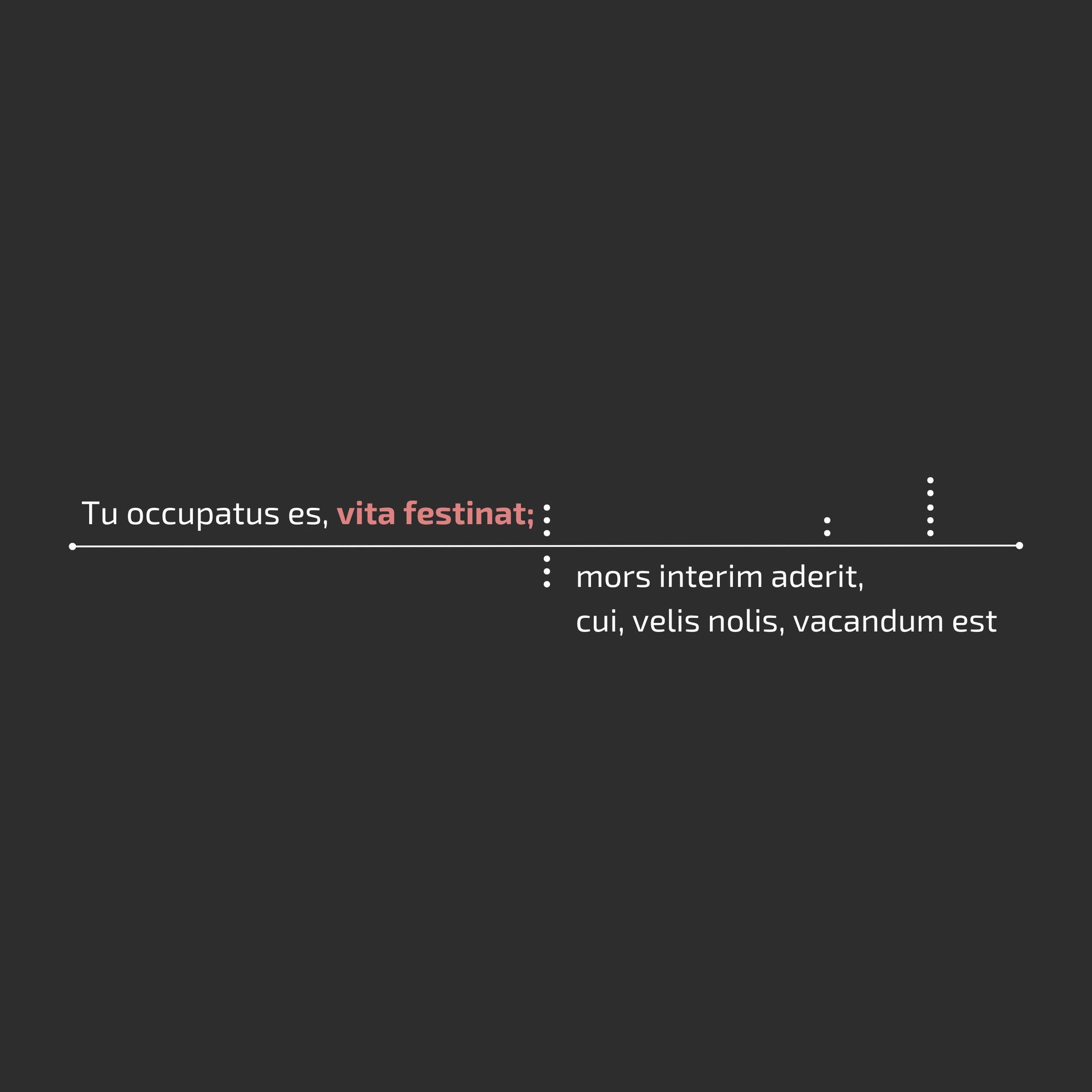 Latin text "Tu occupatus es, vita festinat mors interm aderit" on a black background with a red highlighted words. Enlarged design for minimalist t-shirt