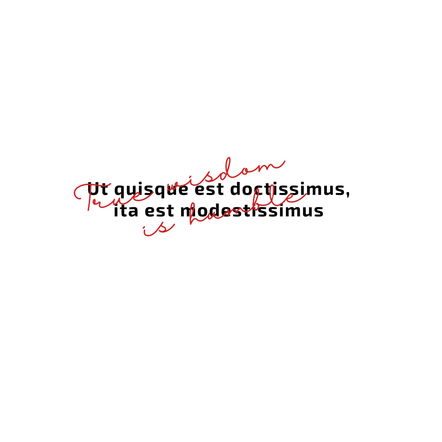 Enlarged design of unisex minimalist t-shirt with the Latin phrase “Ut quisque est doctissimus, ita est modestissimus” on the white background