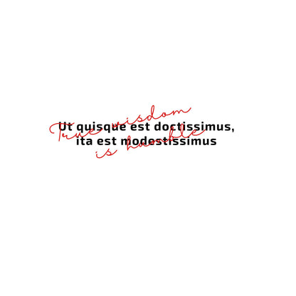 Enlarged design of unisex minimalist t-shirt with the Latin phrase “Ut quisque est doctissimus, ita est modestissimus” on the white background